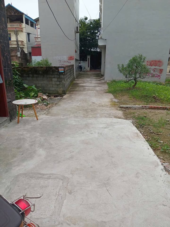 Đất nền Phụng Châu 38.9m² giá chỉ 2xxxty - Đầu tư sinh lời ngay!