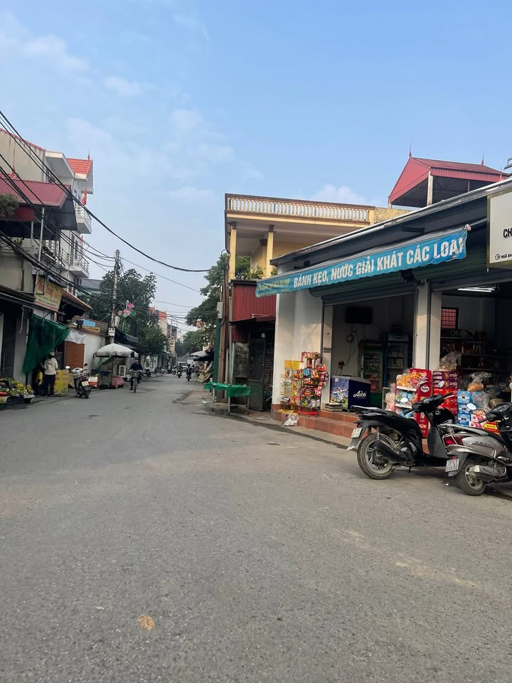 Đất nền Cổ Loa, Đông Anh 80m² giá 4.8 tỷ - Sẵn sàng giao dịch!