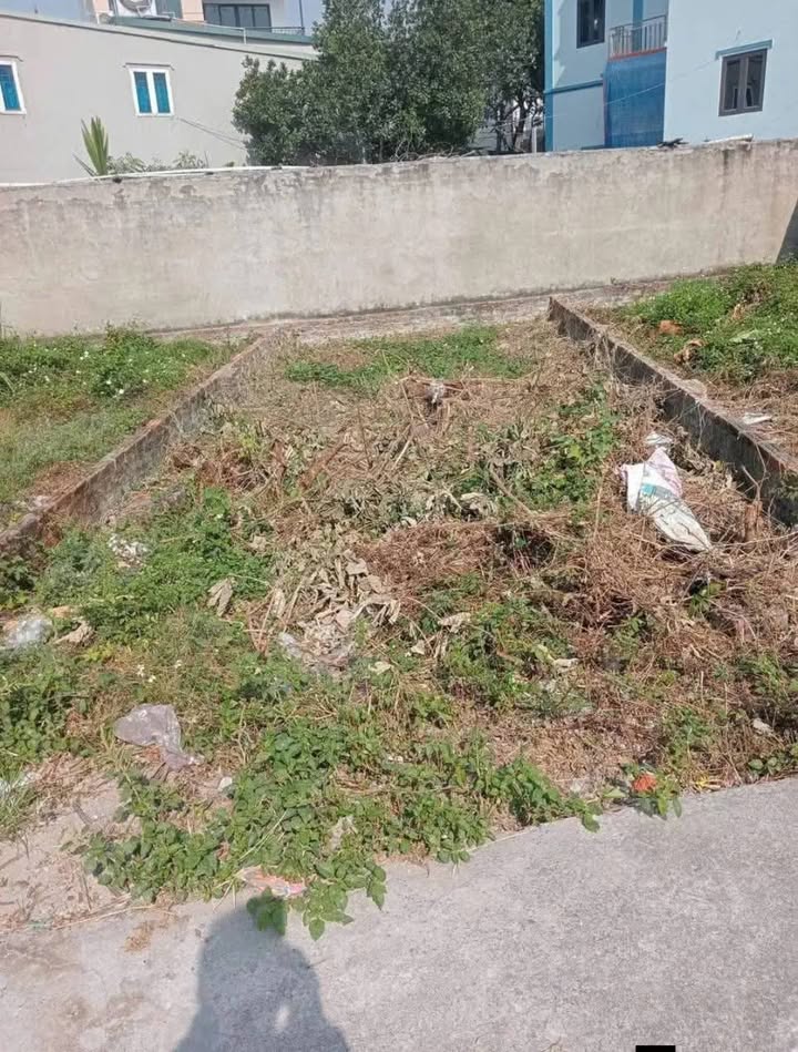 Đất nền đẹp Khánh Hà, Thường Tín 46m² giá 3 tỷ - Ngõ thông ô tô chạy!