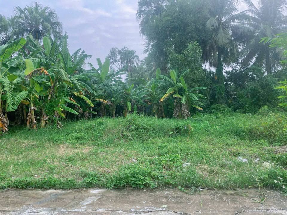 Đất nền Quảng Long - Quảng Xương 187m² giá 480 triệu - Cơ hội đầu tư hấp dẫn!