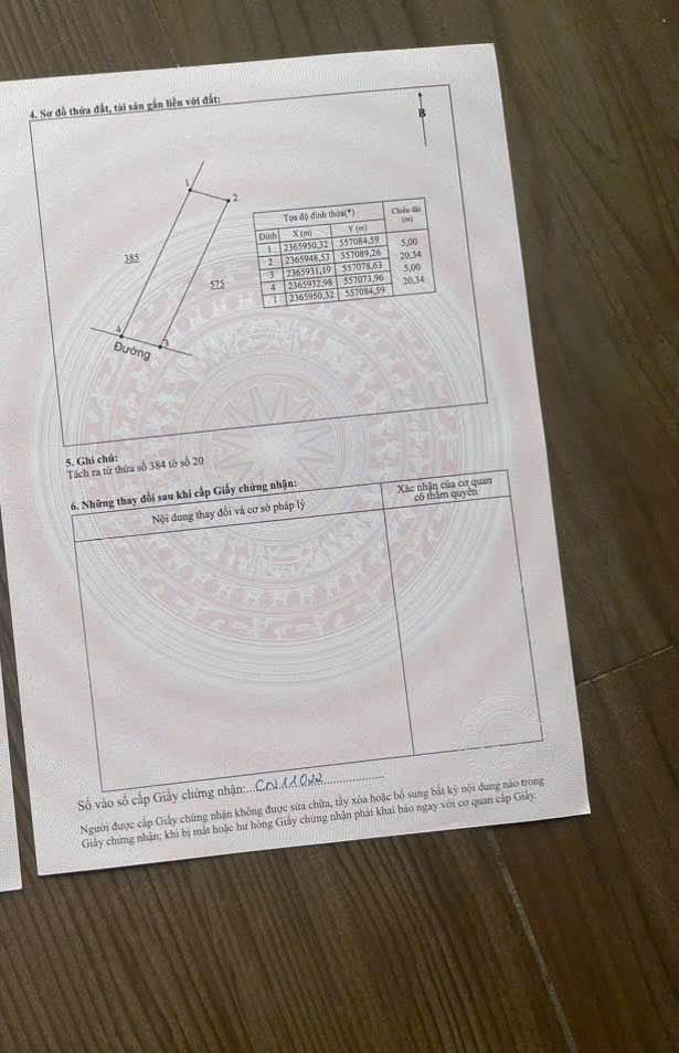 Đất nền Hướng Đạo, Tam Dương 100m² giá chỉ 1 tỷ - Kinh doanh sầm uất!