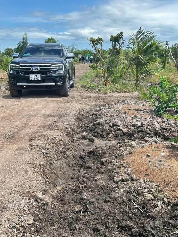 Đất vườn 5670m² tại Ấp 3A, Long An - Giá chỉ 2.3 tỷ, cơ hội đầu tư tuyệt vời!