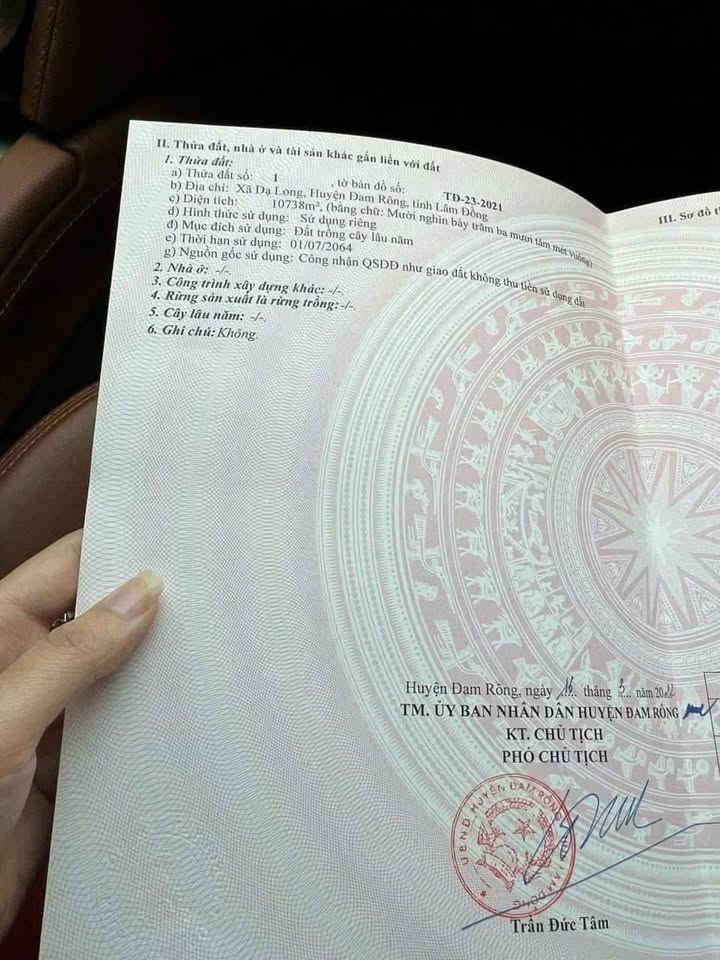 Đất nền Đạ Long 1ha giá thương lượng - Tiềm năng nghỉ dưỡng lớn!