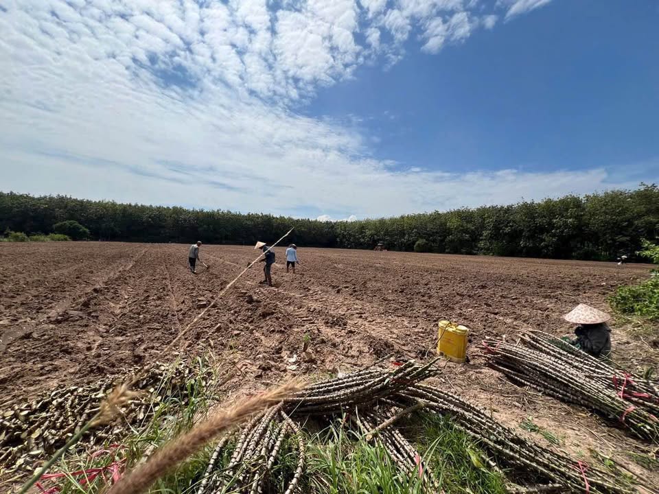 Đất nền Long Nguyên Bàu Bàng 13.121m² giá 26.242 tỷ - Vị trí đắc địa cho đầu tư!