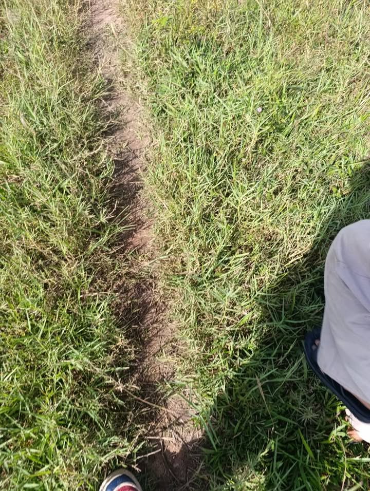 Đất nền 3.000m² mặt tiền nhựa tại KCN Hàm Kiệm 1 - Cơ hội đầu tư vàng!