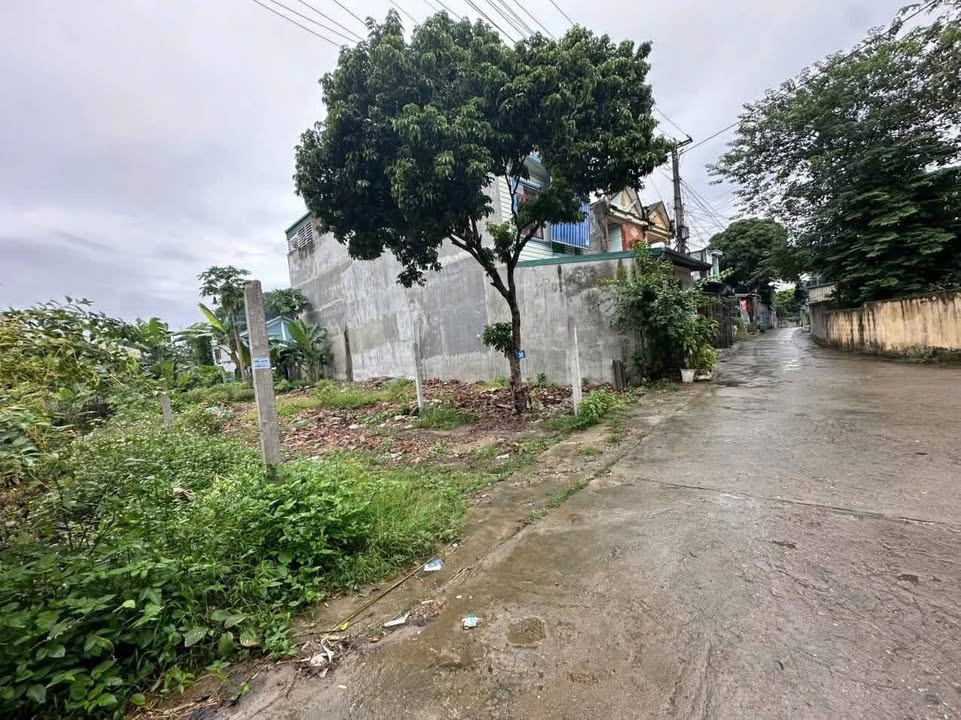 Đất nền 120m² TDP 15, Phường An Tường, Tuyên Quang - Sổ hồng chính chủ, giá tốt!