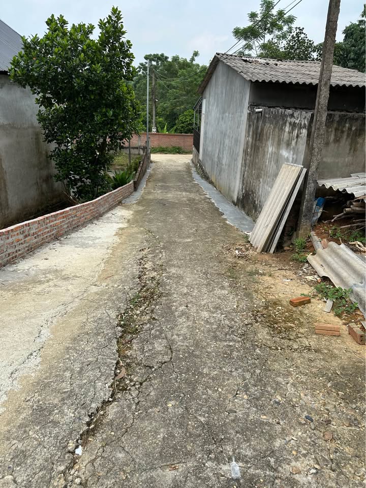 Đất thổ cư 150m² tại Lưỡng Vượng, Tuyên Quang - Giá thỏa thuận hấp dẫn!