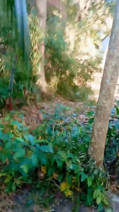 Đất vườn 5200m² mặt tiền đường Đal 14,5m - Giá chỉ 780 triệu