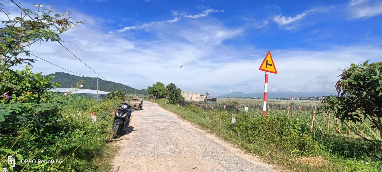 Đất nền Quảng Lập Đơn Dương 9000m² giá 1.125 tỷ - Đường chạy thông 2 mặt!