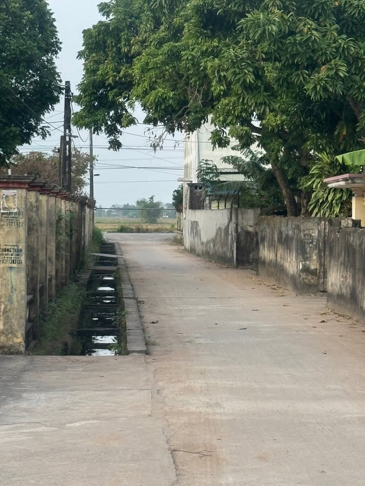 Đất nền lô góc Bình Minh Kiến Xương 80m² giá 700 triệu - Tiềm năng đầu tư sinh lời!