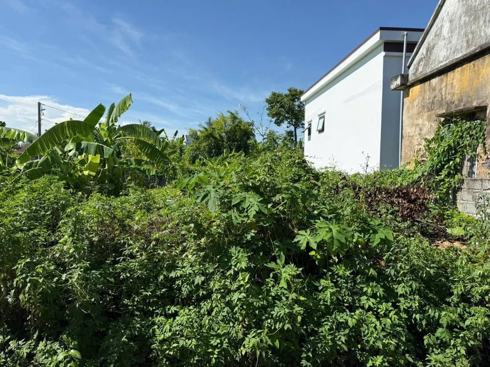 Đất đẹp Bàng La Đồ Sơn 61.6m² giá chỉ 800 triệu - Cơ hội đầu tư hiếm có!