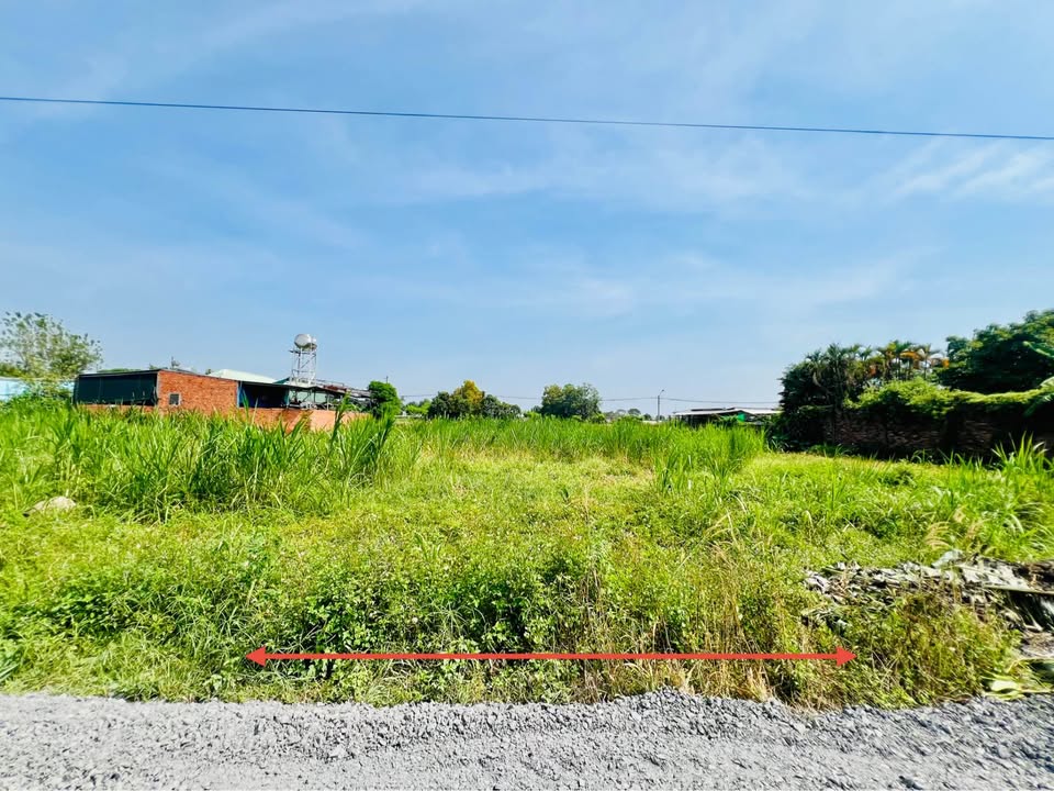 Đất thổ cư Tân Thông Hội Củ Chi 150m² giá 2.25 tỷ - Đầu tư sinh lời ngay!