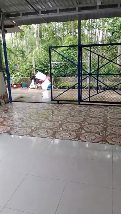 Nhà bán An Nhơn Tây Củ Chi 126m² giá 1.5 tỷ - Sổ hồng chính chủ!