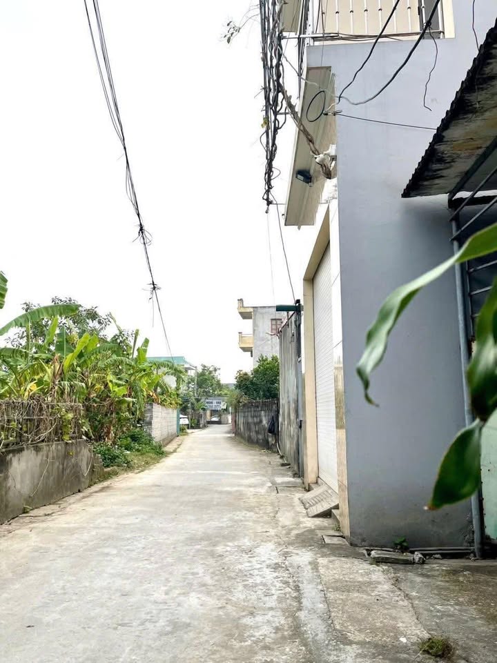 Đất nền đẹp tại phường Hoàng Diệu, Thái Bình 70,1m² giá 1,5 tỷ - Đường ô tô vào tận nơi!