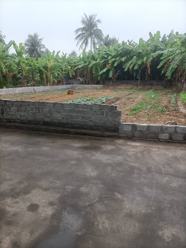 Đất nền Tứ Kỳ 431m² giá chỉ 2 tỷ - Đầu tư sinh lời ngay!