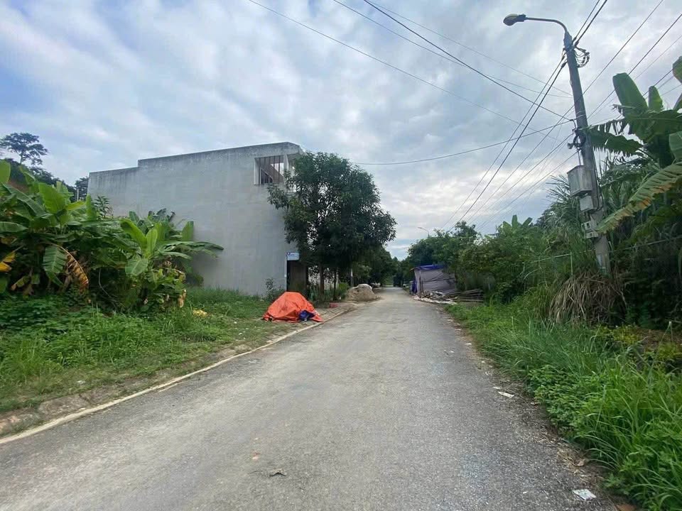 Đất nền đường Đàm Quang Trung, phường Duyên Hải, 200m² - Cơ hội đầu tư tuyệt vời!