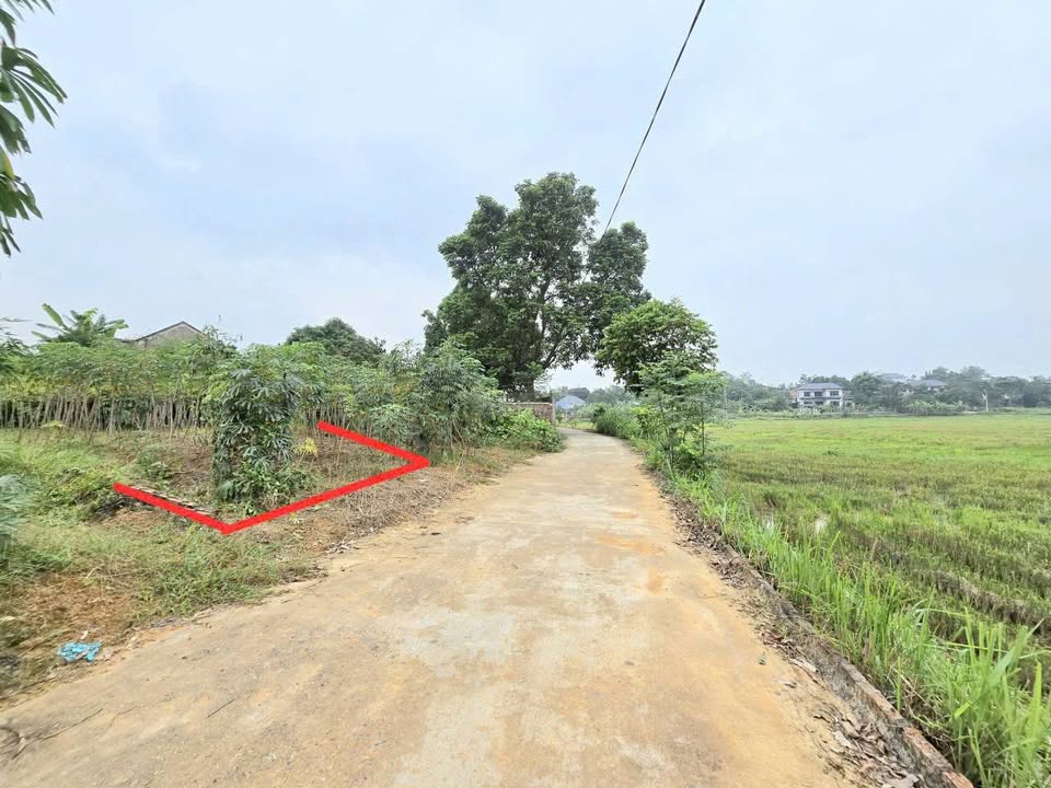 Đất nền Kim Long, Tam Dương 107,5m² giá 600 triệu - Vị trí đắc địa, view thoáng mát!