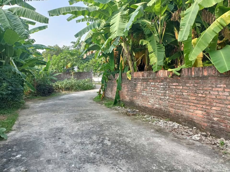 Đất nền Kim Long - Tam Dương 104m² giá 900 triệu - Vị trí đắc địa thuận tiện cho mọi nhu cầu!