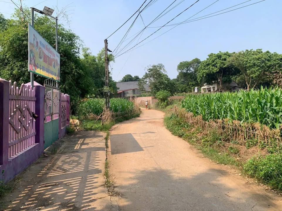 Đất nền Vân Phú, Việt Trì 118m² giá 2 tỷ - Đường thông ô tô tránh