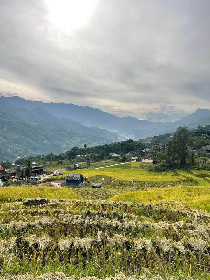 Đất nền Tả Van Sa Pa 1300m² giá 5 tỷ - Tiềm năng đầu tư cực tốt!