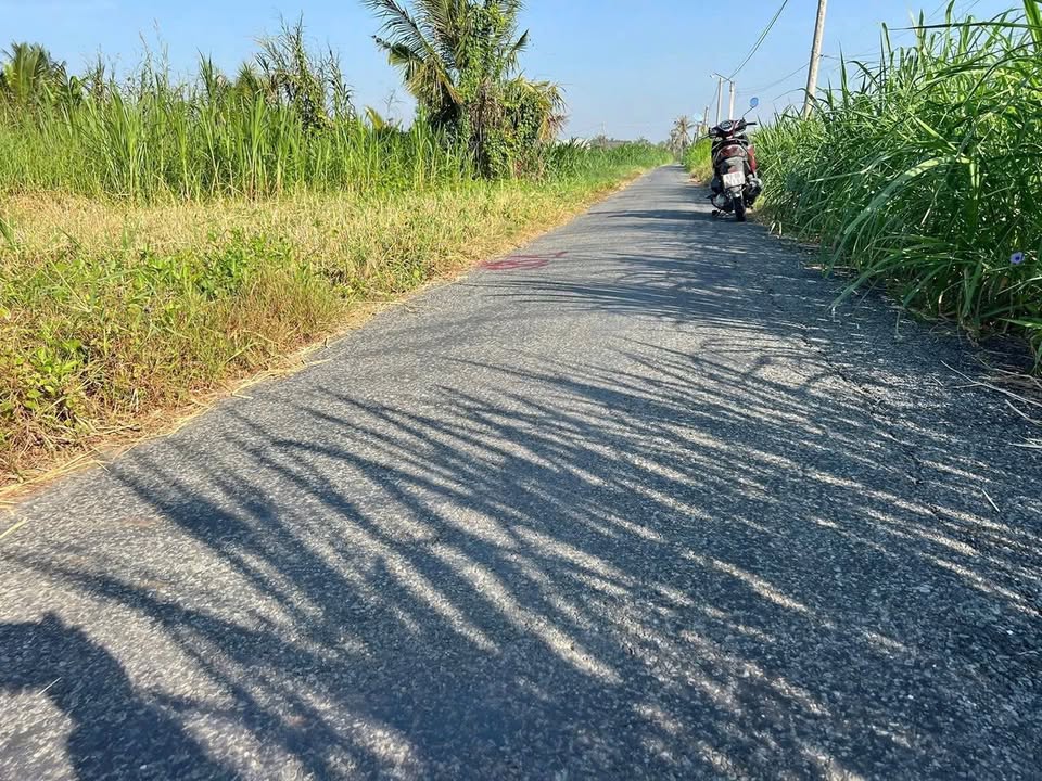 Đất nền Gò Công Tây 220m² giá 300 triệu - Mặt tiền đường nhựa, cơ hội đầu tư tuyệt vời!