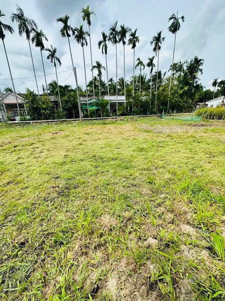 Đất nền Ngãi Tứ, Tam Bình, Vĩnh Long 90m² giá 100 triệu - Mặt tiền ô tô, sổ đỏ chính chủ!