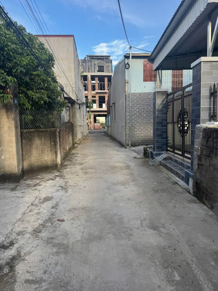 Lô đất 50m² Văn Phong, Đồng Thái, An Dương - Giá chỉ 1.75 tỷ, vị trí đắc địa!