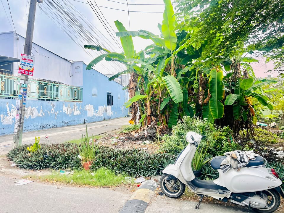 Đất thổ cư 119m² tại Trảng Dài, Biên Hòa giá 3.67 tỷ - Đầu tư sinh lời ngay!