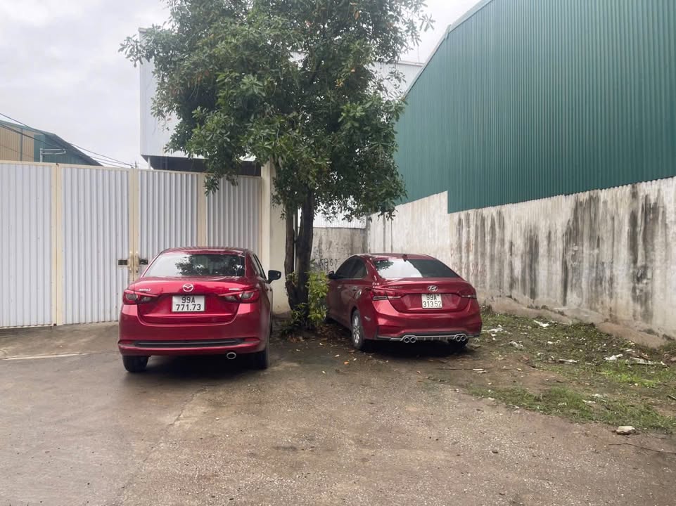 Bán Đất Quốc Lộ 1A, Phường Võ Cường, 109m² - Sổ Hồng Chính Chủ, Giá 4 Tỷ!