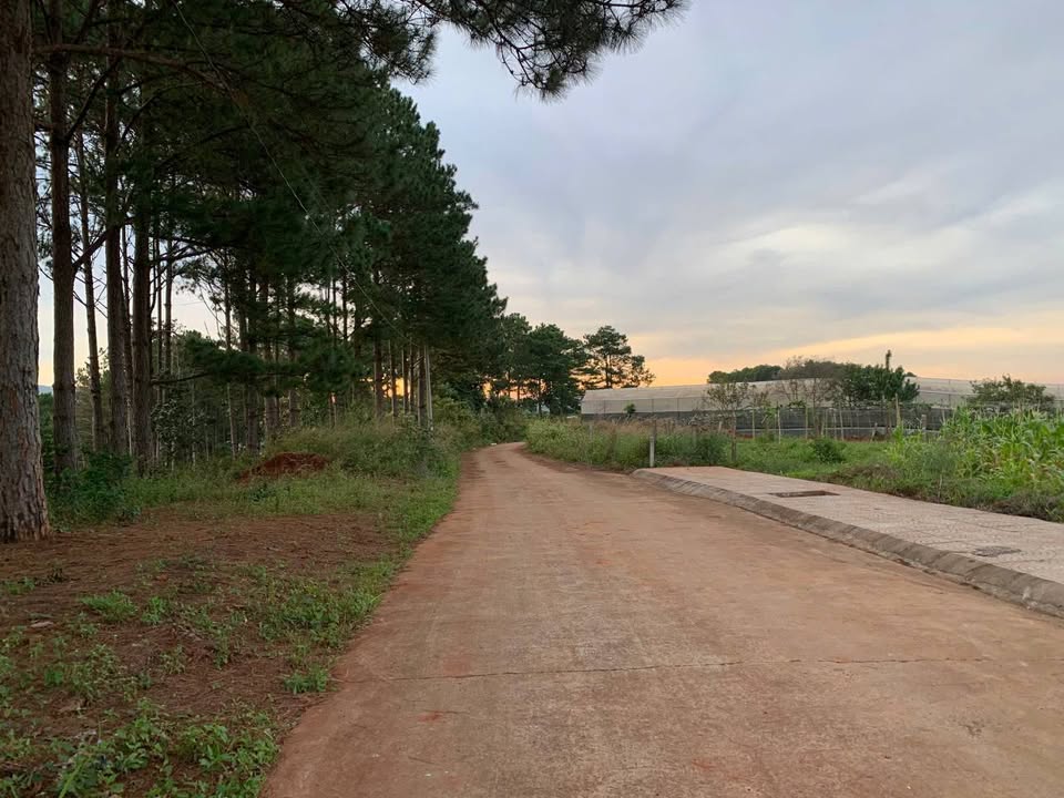 Đất Biệt Thự Xã Nam Ban 1.313m² giá 2 tỷ - Đầu tư lý tưởng gần Đà Lạt!