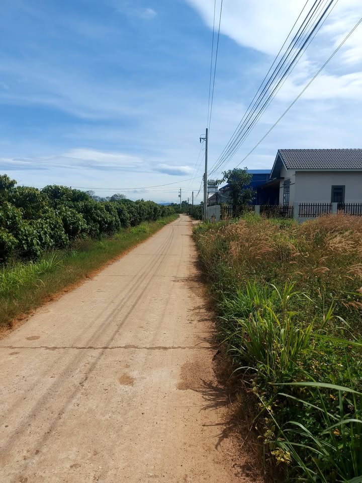 Đất Tân Văn, Đinh Văn, Lâm Hà 504m² giá 1.2 tỷ - Cần bán gấp!