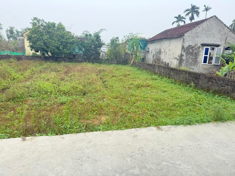 Đất nền 184m² Thị Tứ Tân Thành giá chỉ 1.3 tỷ - Đầu tư sinh lời ngay!