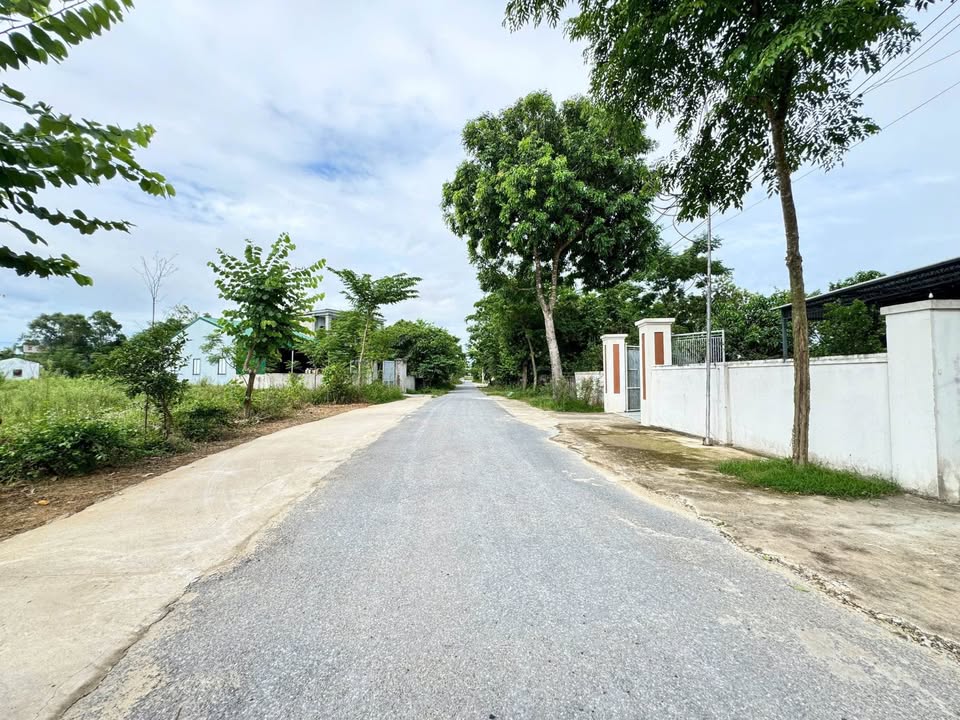 Đất Nền Thái Hưng, Nghi Thái 121m² giá chỉ 1.58 tỷ - Cơ hội đầu tư tuyệt vời!