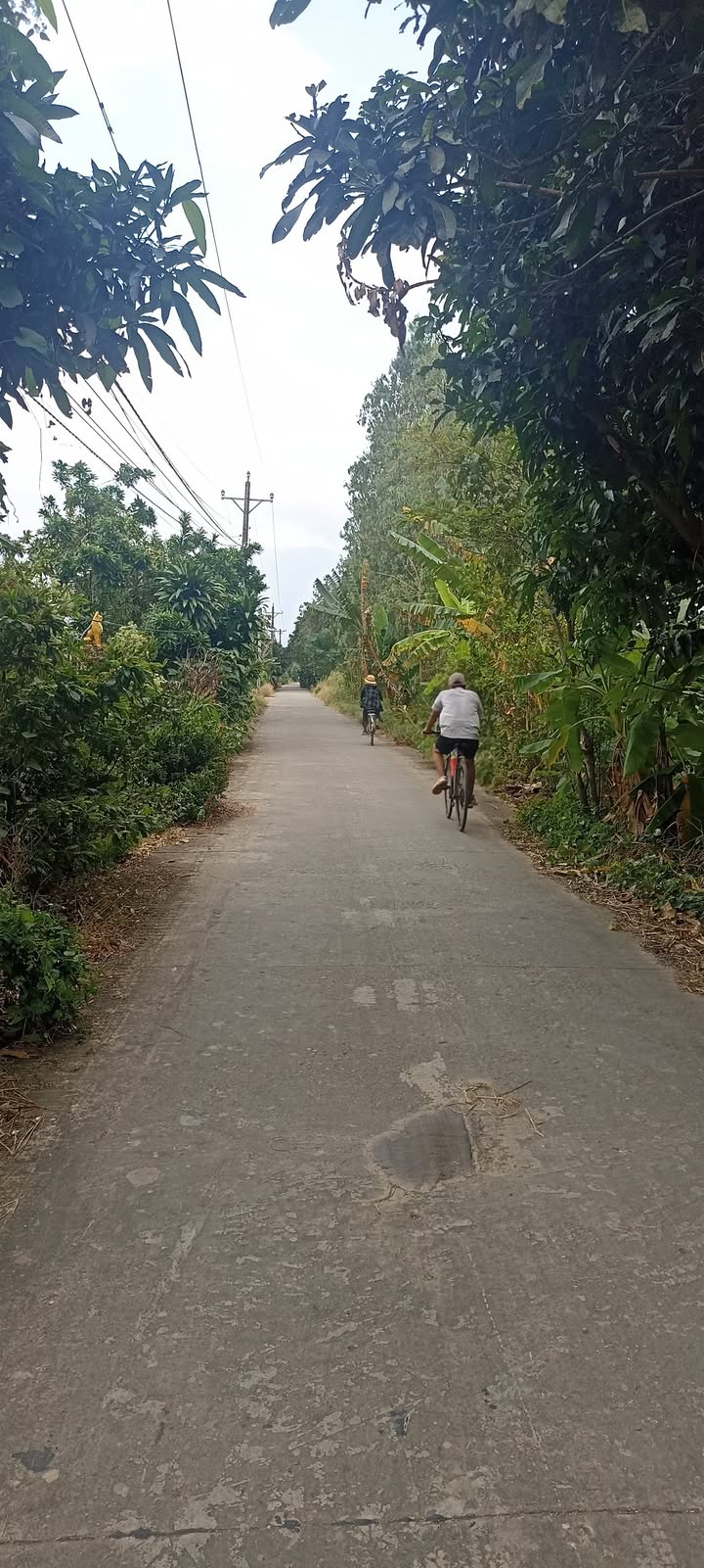 Đất thổ cư mặt tiền đường Dài, xã Nhơn Mỹ, Chợ Mới - Giá chỉ 270 triệu!