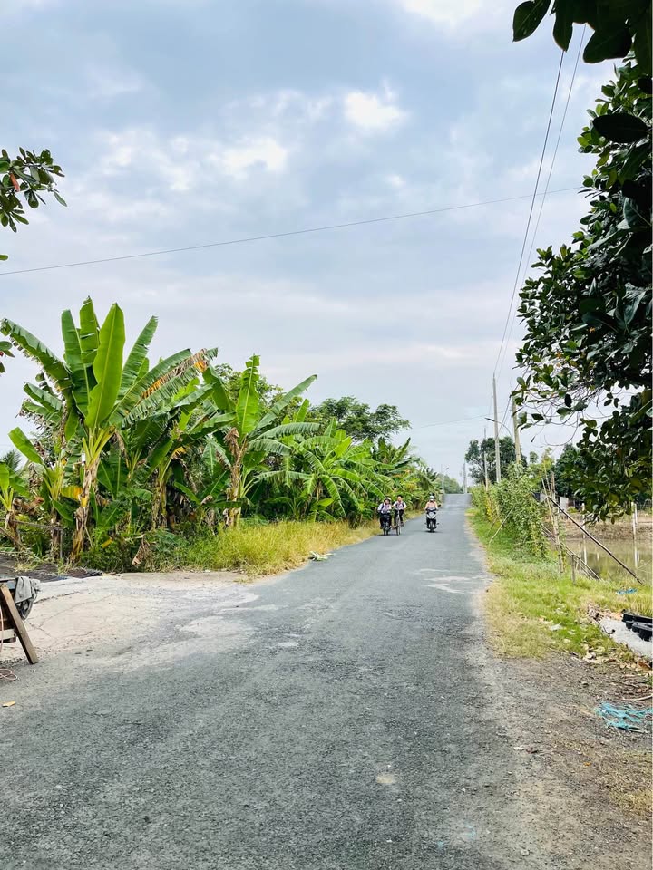 Đất làm vườn Tây An, Long Xuyên 578m² giá 780 triệu - Sổ đỏ chính chủ!