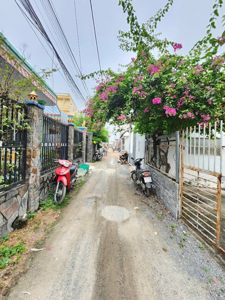 Nhà cấp 4 Lái Thiêu 78.2m² giá 3.1 tỷ - Sổ hồng riêng, gần chợ!