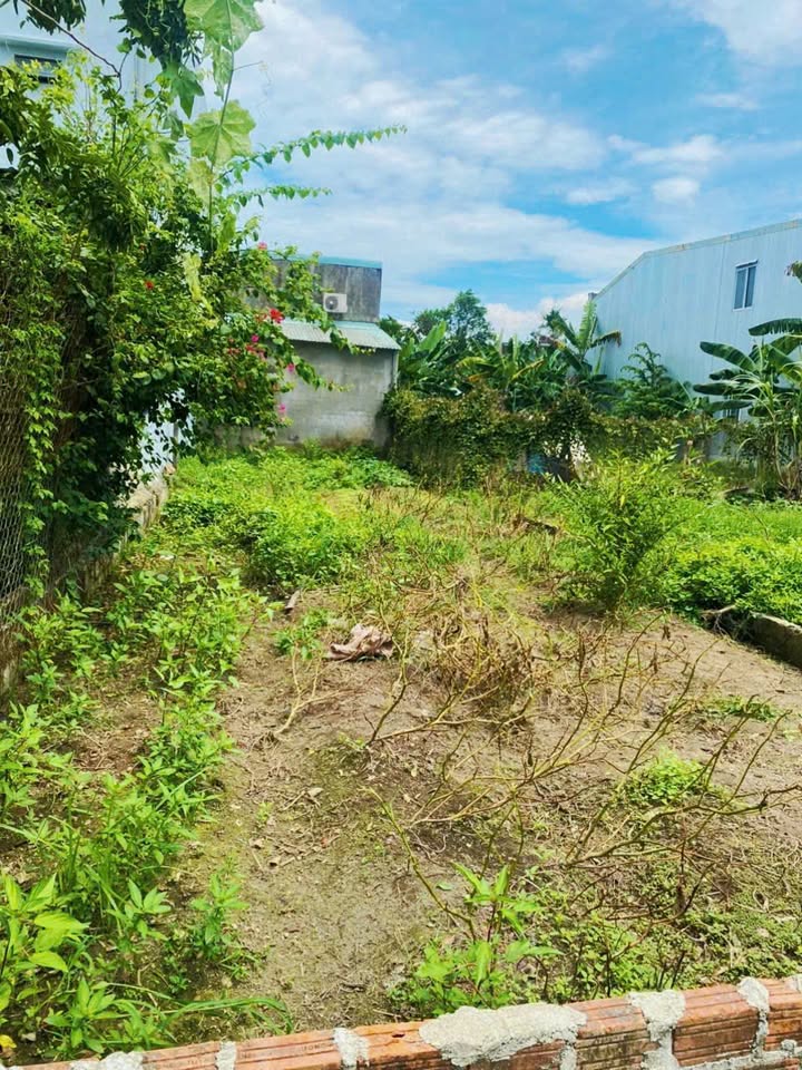 Đất nền Hòa Liên Đà Nẵng 93m² giá 1.3 tỷ - Đầu tư sinh lời hấp dẫn!