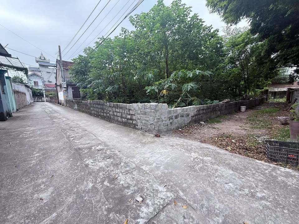 Đất thổ cư Phúc Lâm Mỹ Đức 472m² giá chỉ trên 1x triệu - Tiềm năng đầu tư lớn!