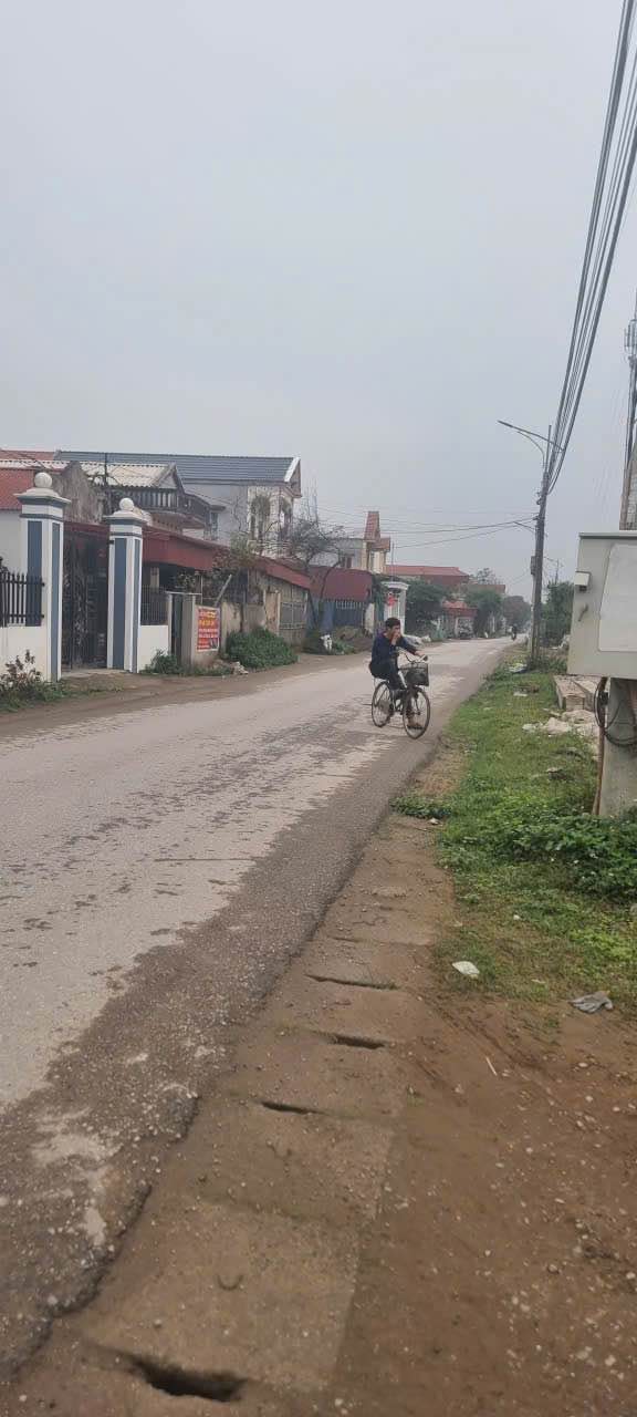 Đất nền Đường Huyện 99, Tiên Lữ, Hưng Yên 100m² giá 2 tỷ - Đầu tư sinh lời ngay!