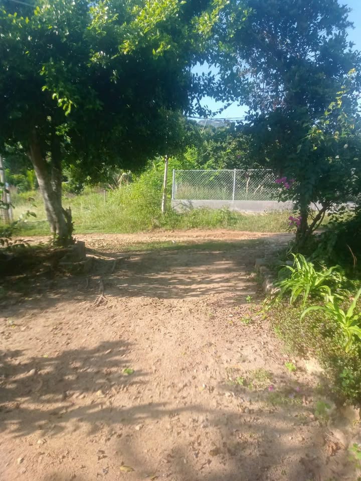 Đất nền Vĩnh Phương Nha Trang 607m² giá 1.6 tỷ - Lộc lá đầy nhà!