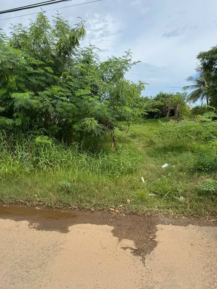 Đất thổ cư mặt tiền Nhựa Thôn 1 Hàm Liêm 156m² giá 1.5 tỷ - Cơ hội vàng cho nhà đầu tư!