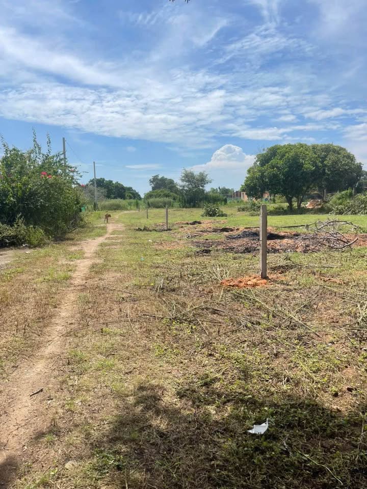 Đất nền lô góc 2000m² tại Mũi Né, Phan Thiết - Giá 2 tỷ, pháp lý sổ hồng chính chủ!