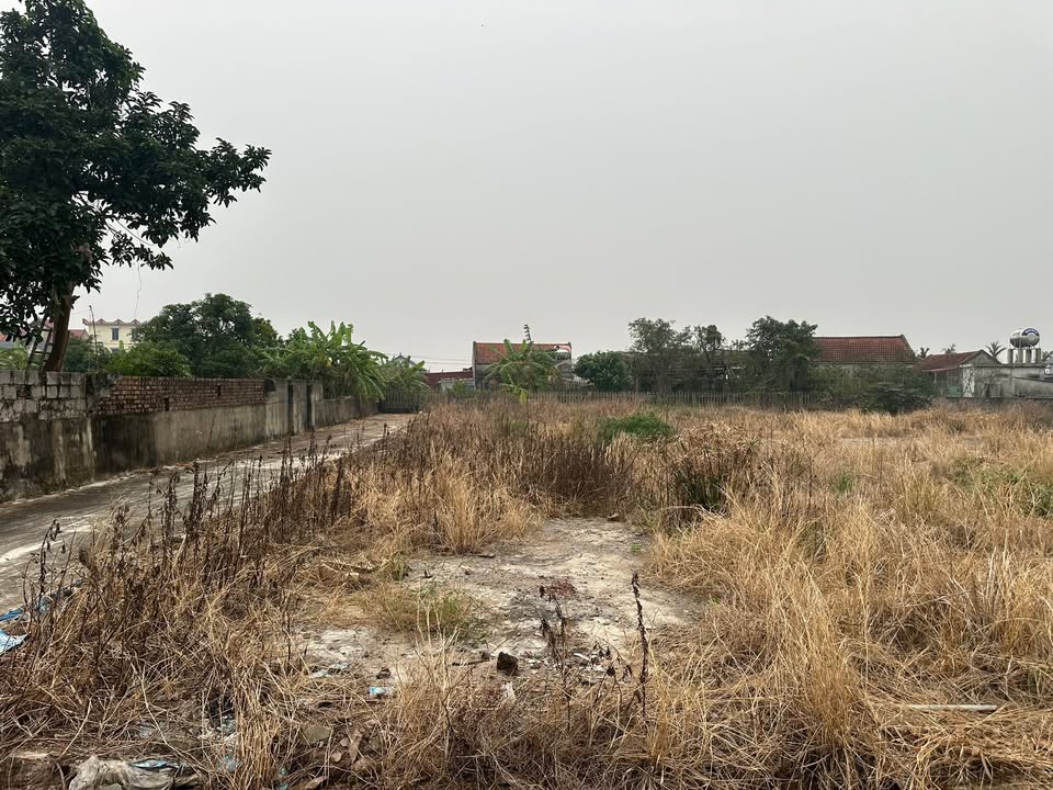 Đất nền góc 2 mặt tiền Nghĩa Hải 209m² giá chỉ 9xx triệu - Chỉ cần thương lượng!