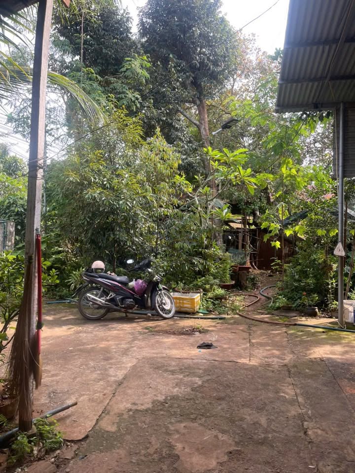 Nhà đất thổ cư La Ngà 432m² giá chỉ 2.5 tỷ - Đầu tư sinh lời cao!