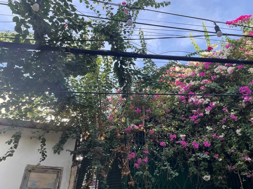 Bán đất Vĩnh Hải Nha Trang 114.8m² giá 11 tỷ - Cách biển Hòn Chồng chỉ 400m!