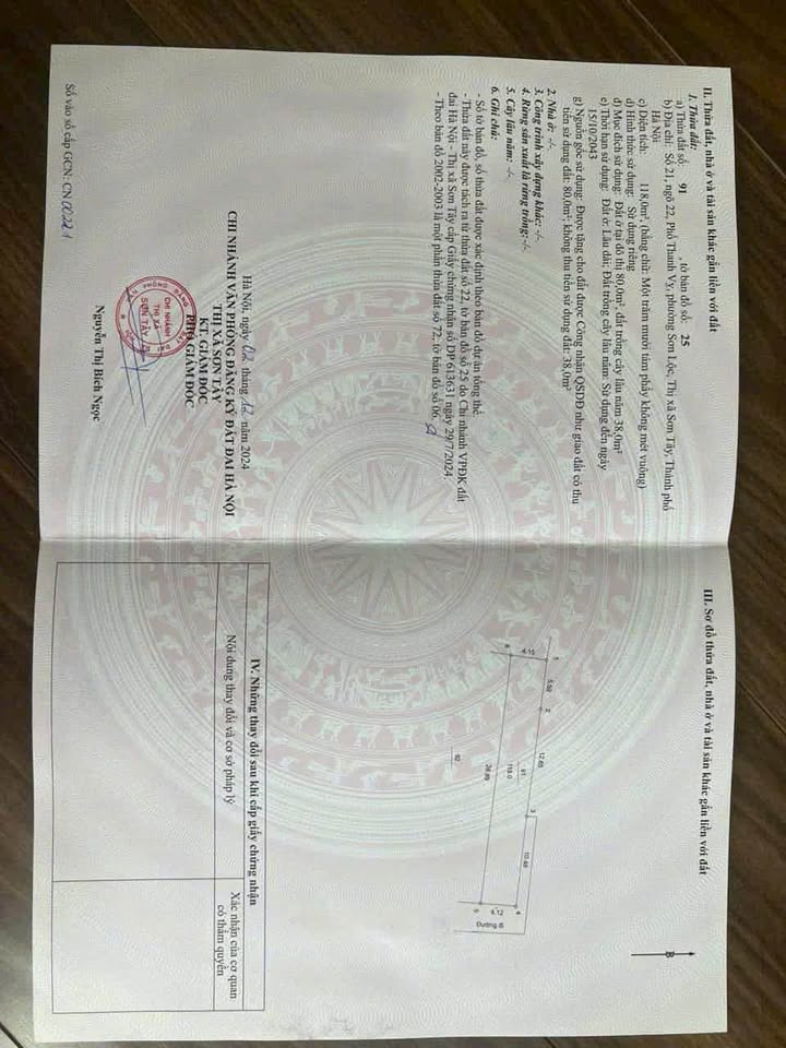 Đất nền chính chủ phường Sơn Lộc, Sơn Tây 118m² - Đường ô tô vào tận nơi!