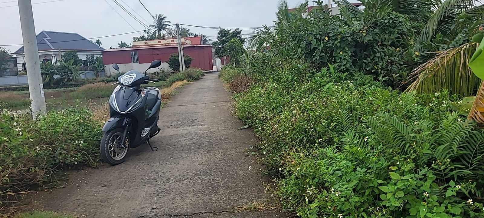 Đất nền 15 sào Tân Phong, Kiến Thụy - Cơ hội đầu tư hấp dẫn!