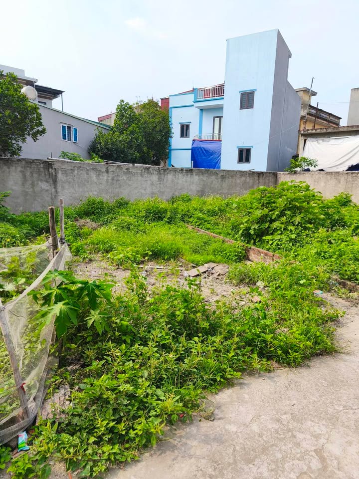 Đất nền Đại Áng 43m² giá 4 tỷ - Đầu tư sinh lời tiềm năng!