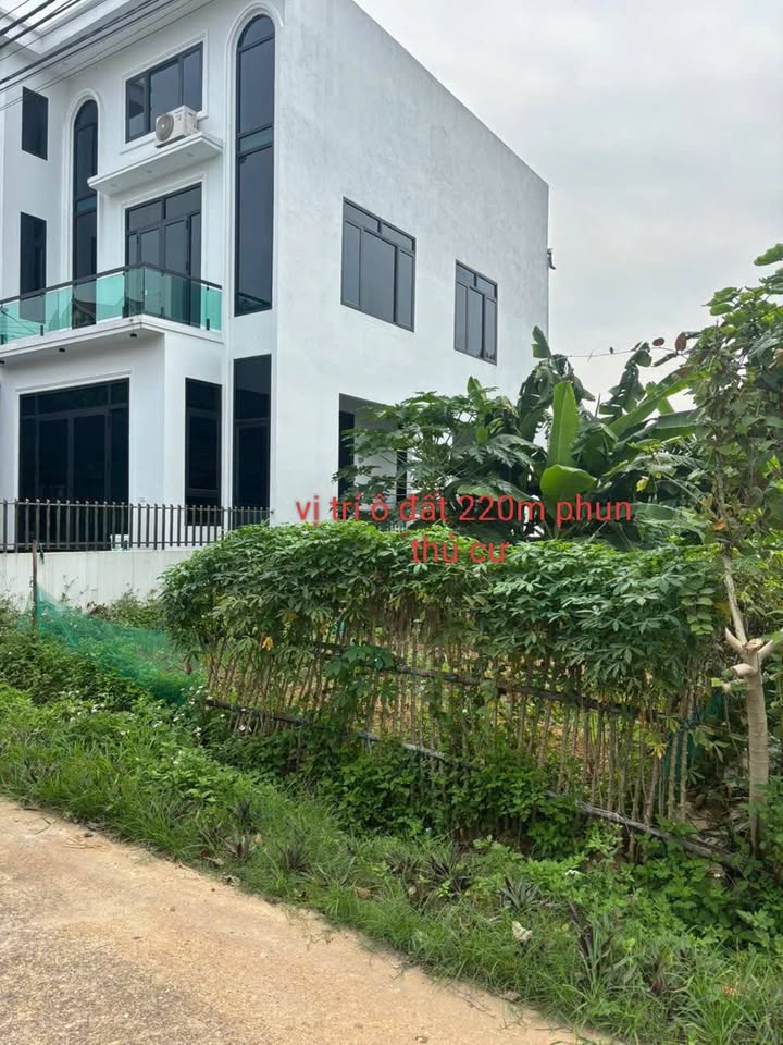 Đất nền Thanh Đình, Việt Trì 220m² giá 2 tỷ - Cơ hội đầu tư hấp dẫn!