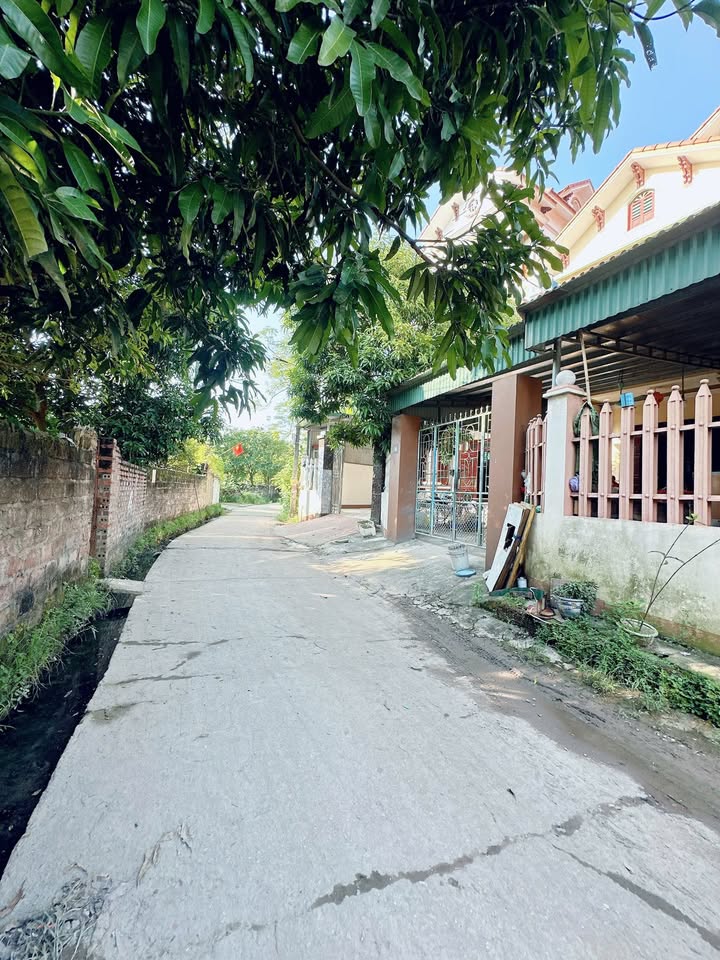 Đất nền khu Hồng Hải - Minh Nông 88m² giá 1 tỷ - Vị trí đắc địa gần chợ